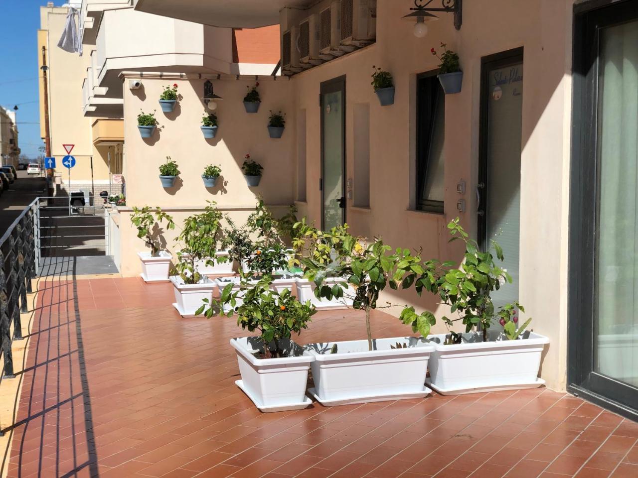 Bed & Breakfast Salento Palace Gallipoli